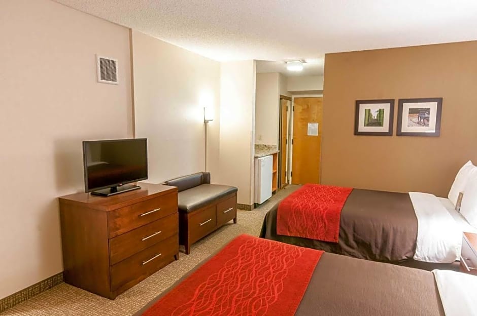 Comfort Inn Quantico