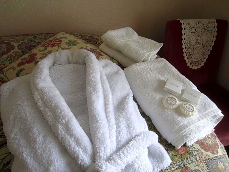 Gwrach Ynys Country Guest House