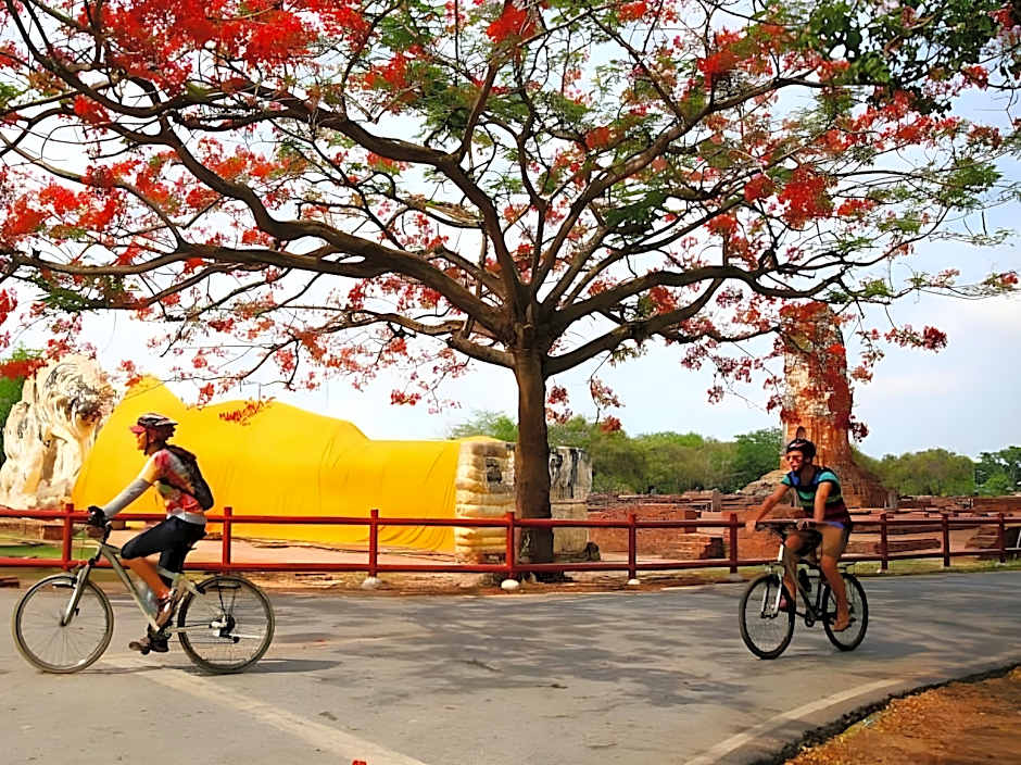 Tony's Place Beds & Breakfast