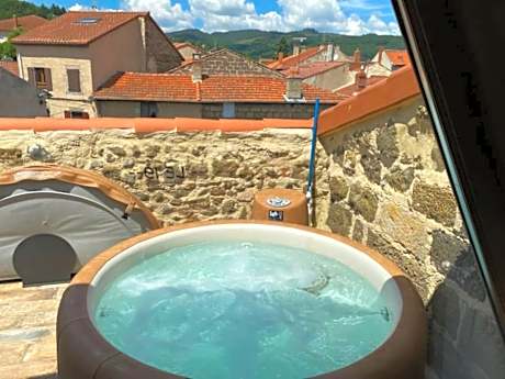 Le 19 - 38m2 Terrasse Jacuzzi - Centre Historique - Clim