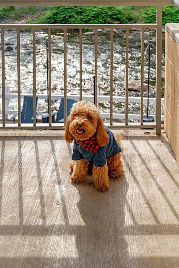 Gatlinburg River Inn