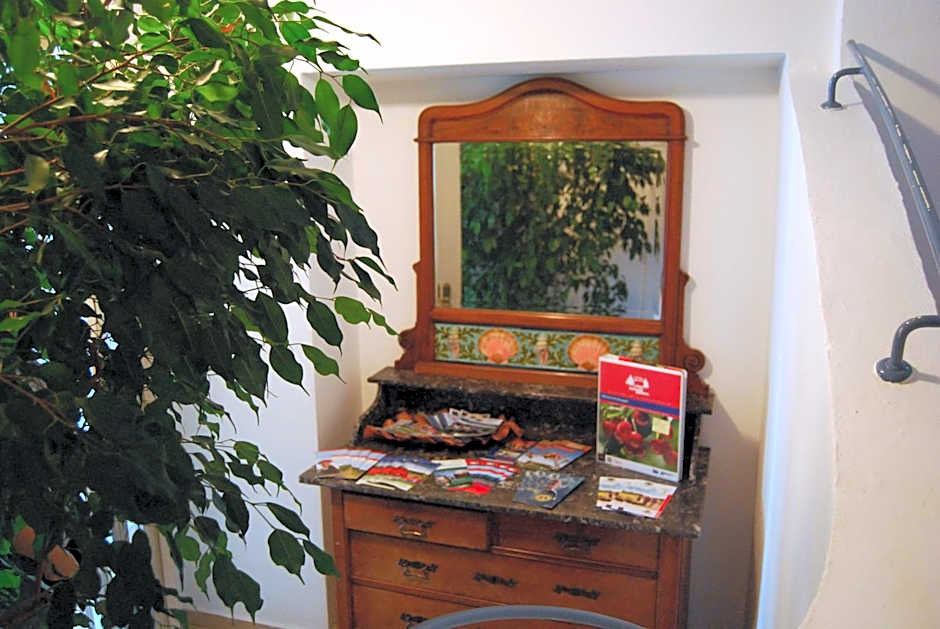 Gasthaus zum Löwen - Restaurant Akropolis