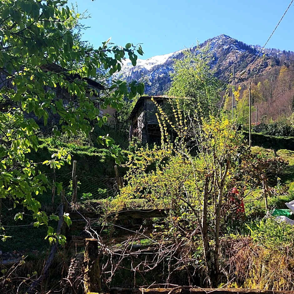 Begi Apart Bungalows Hotel - Çamlıhemşin