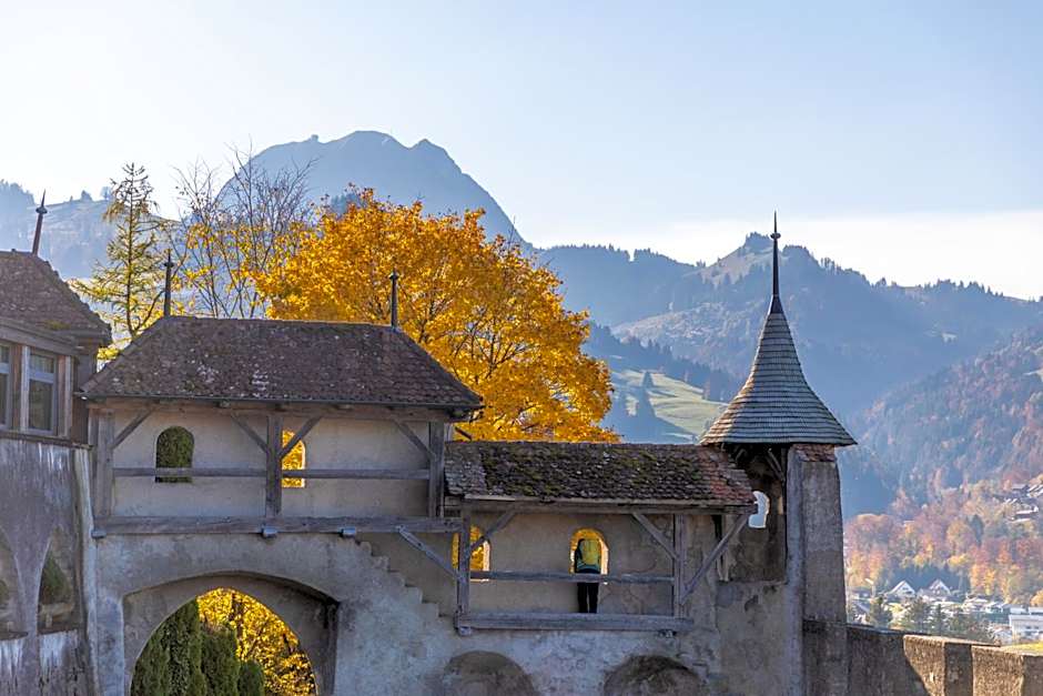Hotel D Bulle - La Gruyère