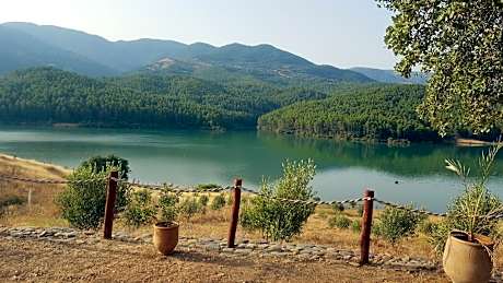 Relais De Tahla
