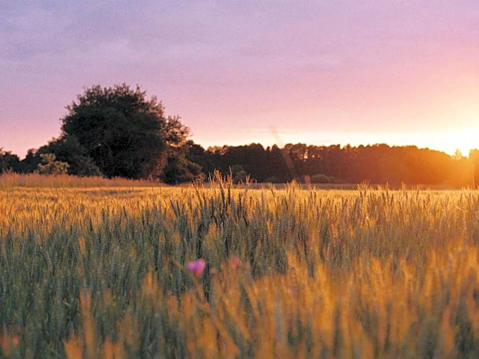 Landhaus Alte Schmiede