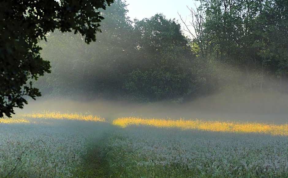 Parkhotel Wienburg Münster