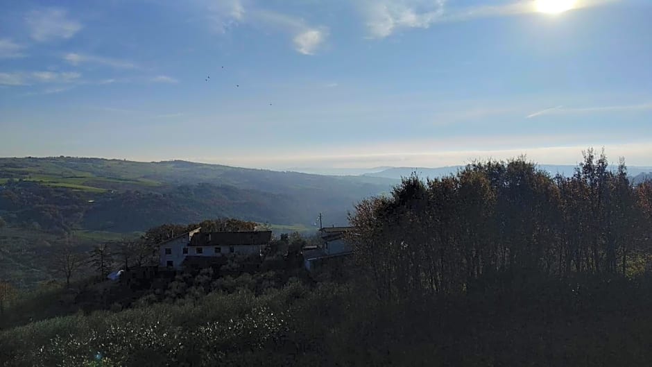 La Magnolia sul Lago