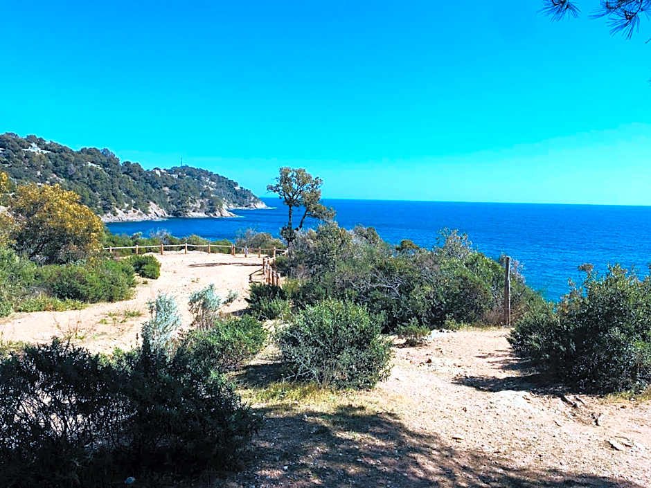 Le Clos des Sept Palmiers