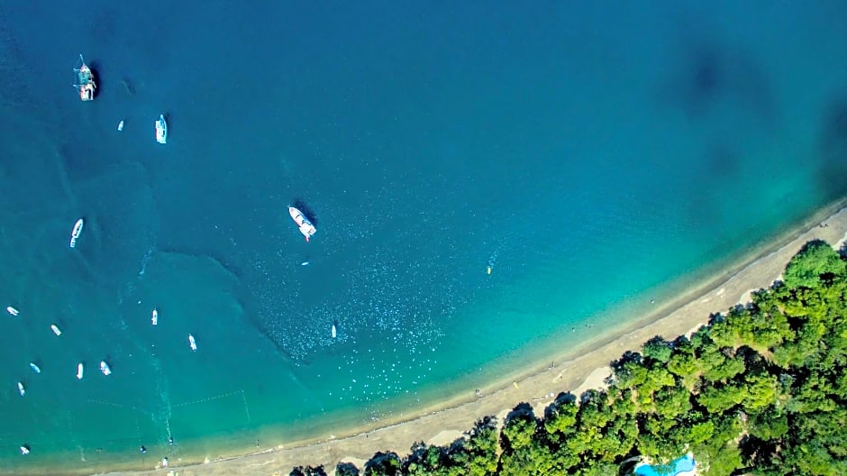 Papagayo Golden Palms Beachfront Hotel