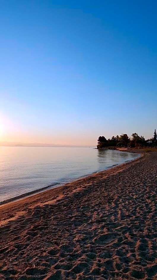 SUN RESIDENCE Exclusive Seaside Suites