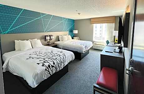 2 Queen Beds Nonsmoking