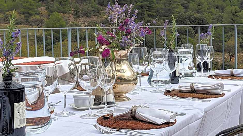 Hotel Mas de la Serra