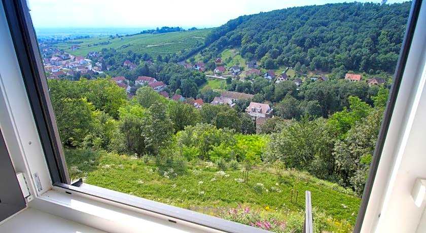 Terrasses d'Alsace