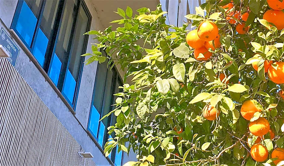 MD Modern Hotel - Jardines