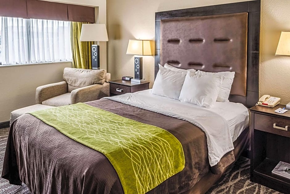 Comfort Inn Downtown Charleston