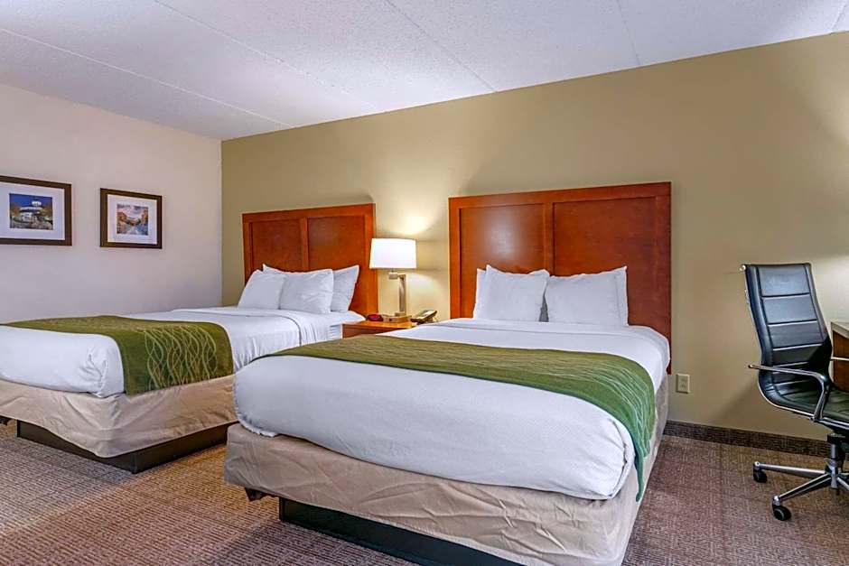 Comfort Inn Downtown Lookout Mountain Chattanooga