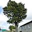 Totara Lodge Motel