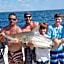 Holiday Inn Hotel & Suites Clearwater Beach South Harbourside By IHG