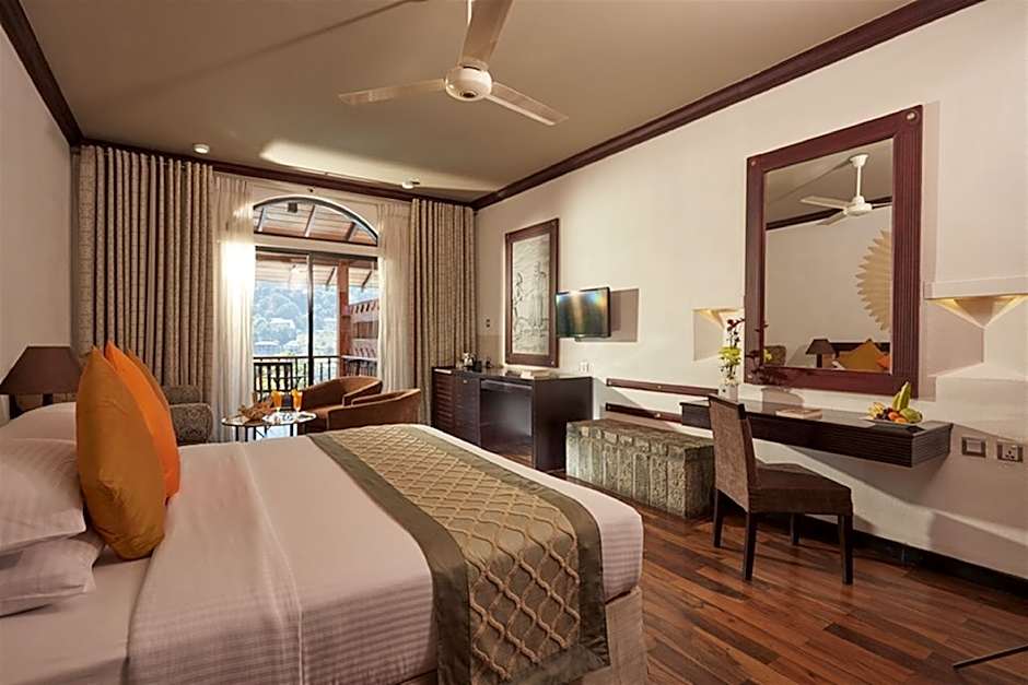 Zdjęcie 1 z 1 — Standard