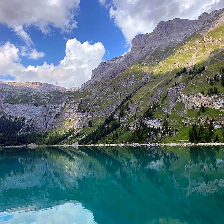 Woodland Village Anzère