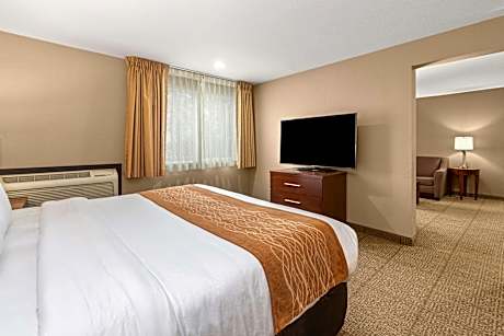 1 King Bed, Suite, Nonsmoking, Upgrade