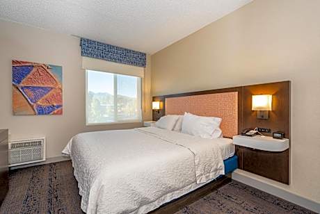 One-Bedroom King Suite with Fireplace