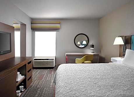 Suite-1 King Bed Non-Smoking Sofabed Wet Bar Microwave Fridge Wi-Fi Walk In Shower Full Breakfast