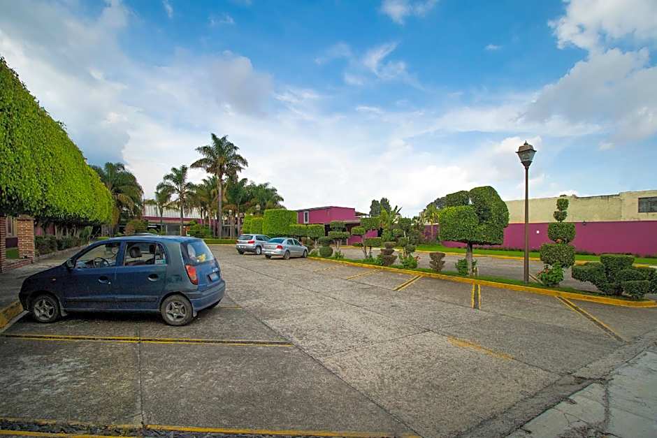 Collection O Las Iglesias