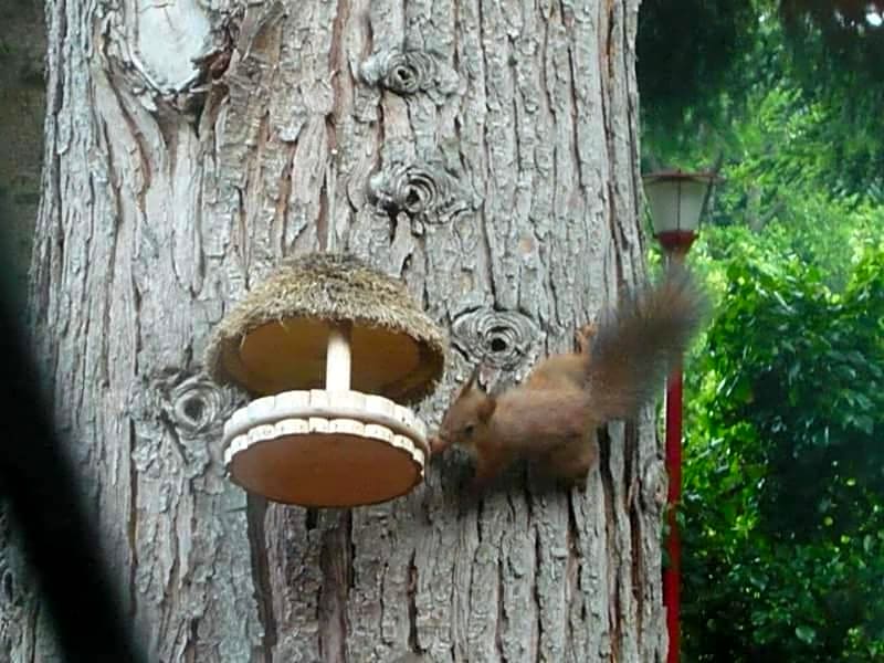 B&B La Capanna Rossa