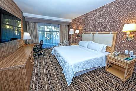 1 King Standard Accessible