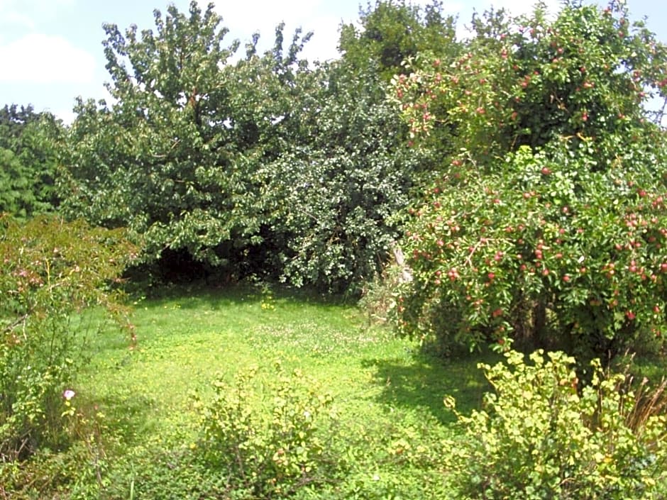 Chambres d'hôte Honey Orchard Farm