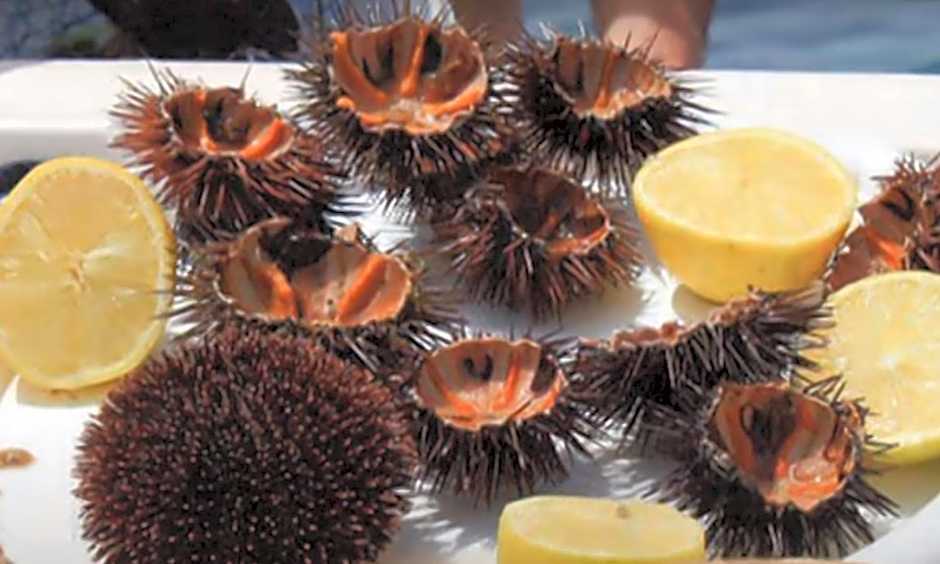 Small Paradise Palermo