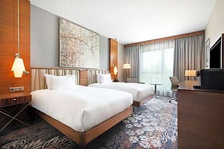 Twin Executive Room