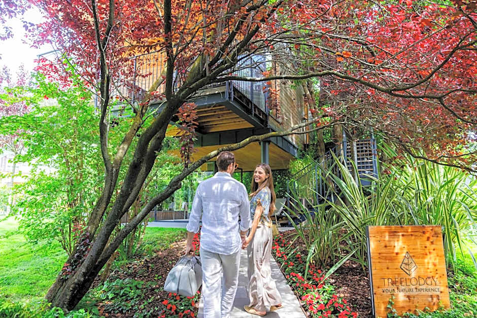 TreeLodgy, The Tree House