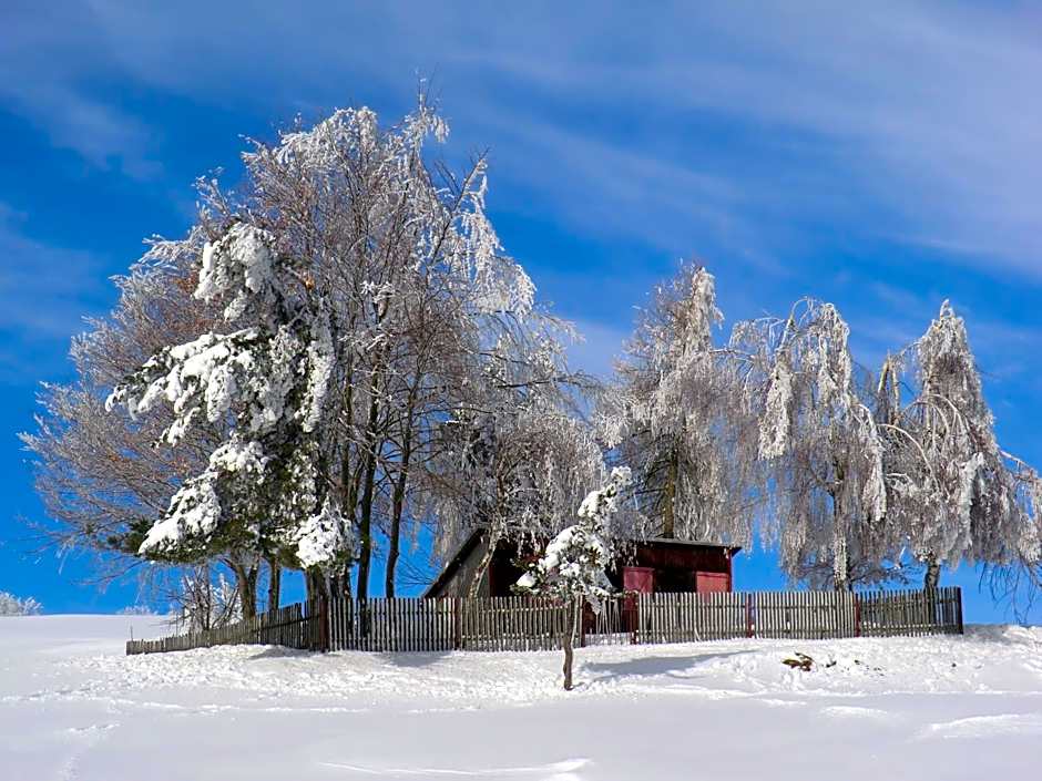 Hotel Zum Schneekopf "Garni"