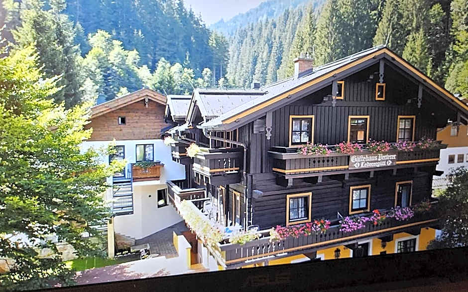 Pension Lederergütl - Jokercard & Parkplatz inkl