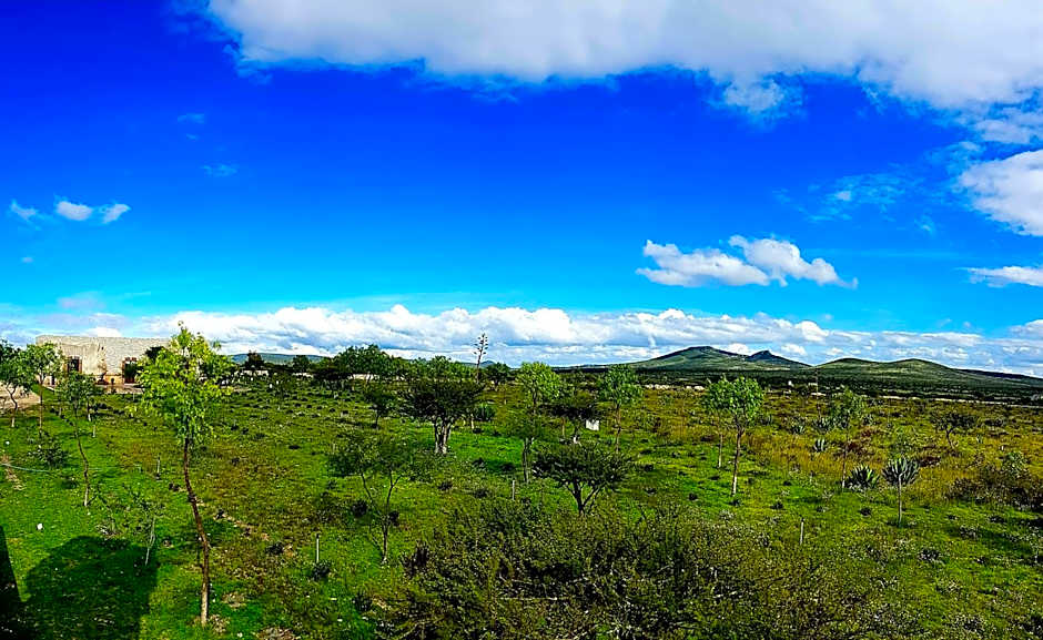 Mineral del Cielo