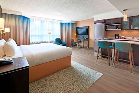 Studio Suite King, 1 King Bed