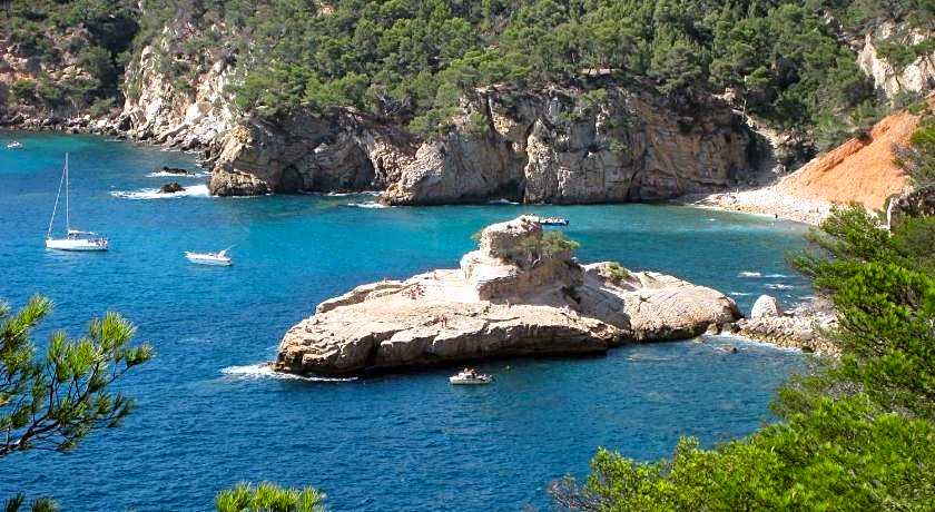 la cigale sous l'olivier