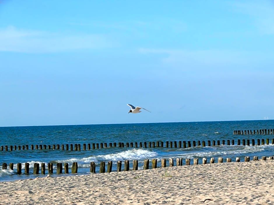 Pensjonat nad jeziorem