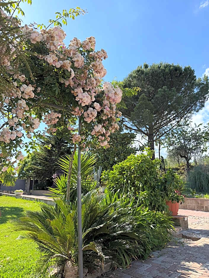 A Casa di nonna Emilia