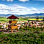 Hotel Strachanovka - Jánska Koliba