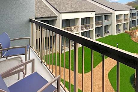 Suite, 1 King, Sofa bed