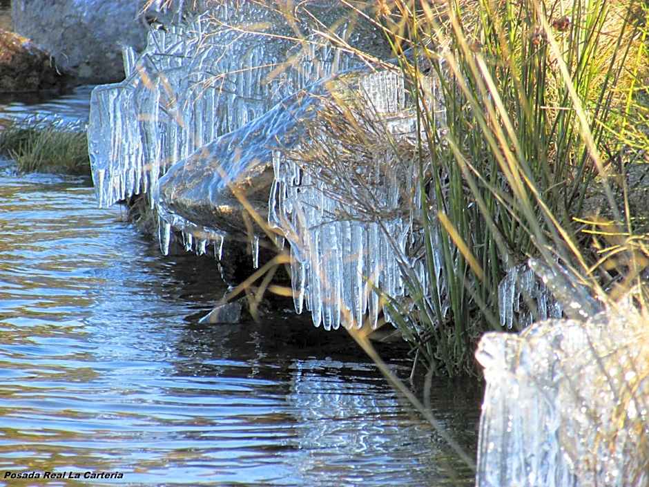 Posada Real La Carteria