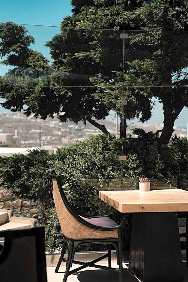 Asty Mykonos Hotel & Spa - World of One Hotel Group