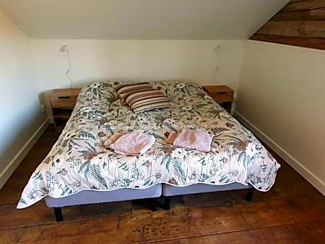 Double Room with Shared Bathroom