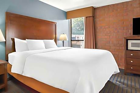 Suite-1 King Bed Non-Smoking Sofabed Work Desk Microwave And Refrigerator Wi-Fi Full Breakfast