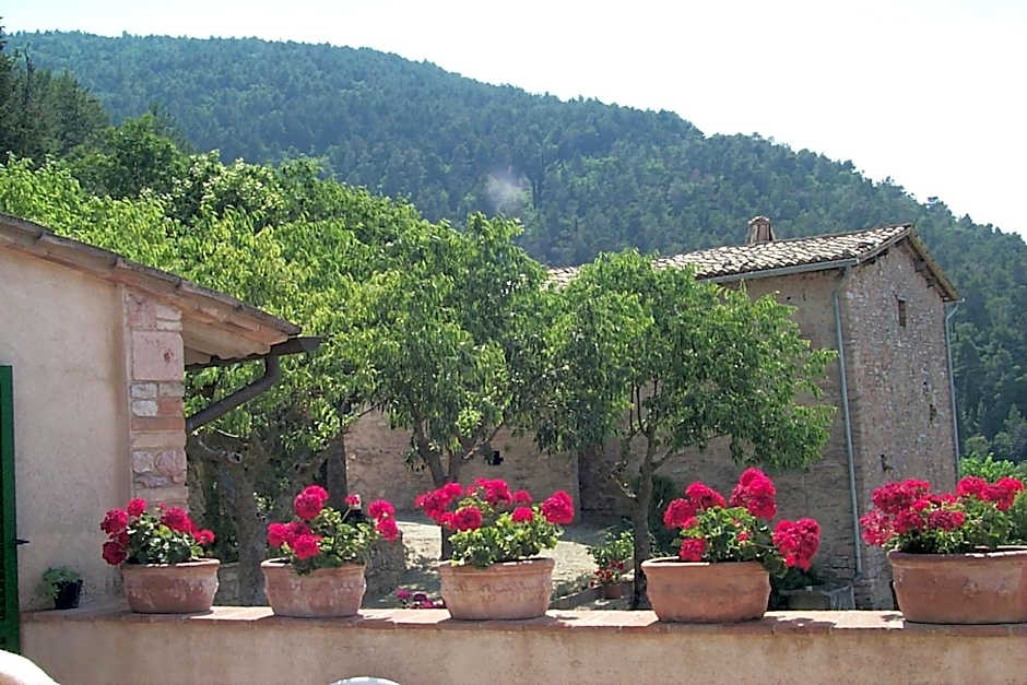 L'Oasi