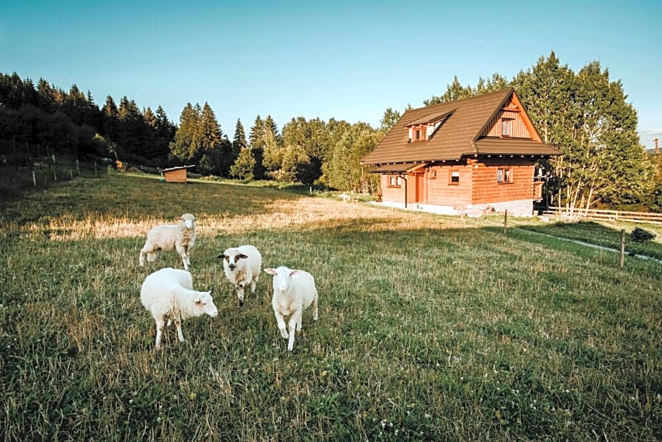 Chata nad Briežkami